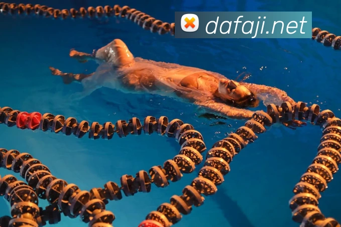 大发彩票品牌故事